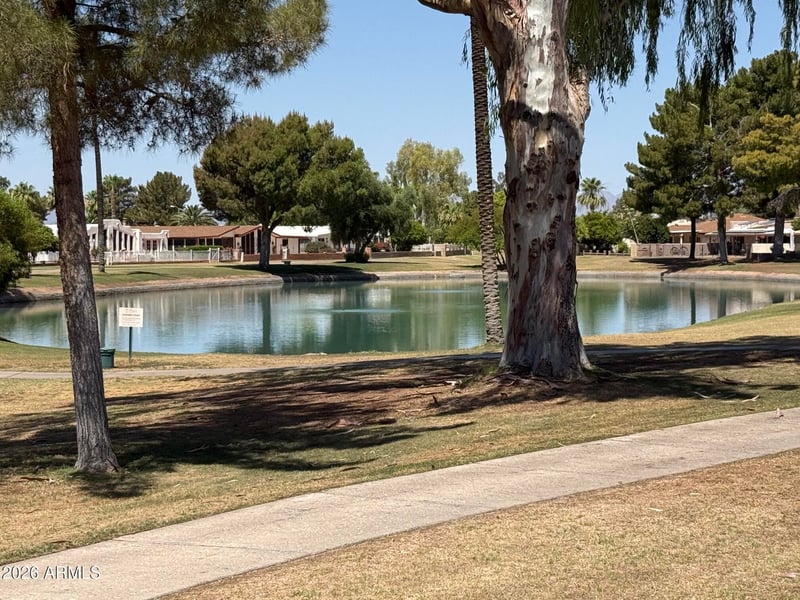 9349 Parkside Dr, Sun Lakes, AZ 85248
