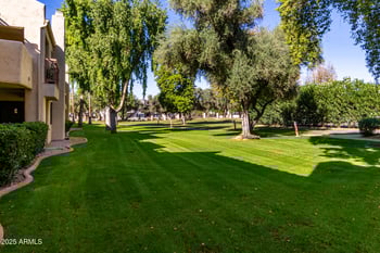 9355 91st St #230, Scottsdale, AZ 85258