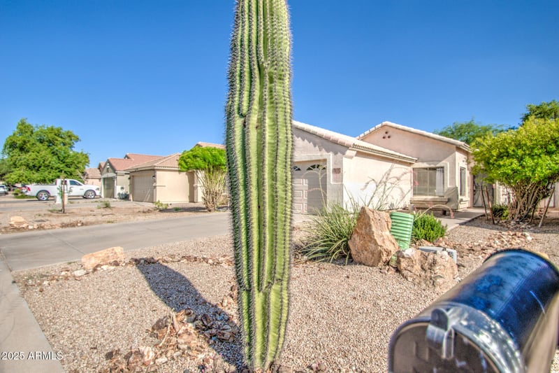 937 Nardini St, San Tan Valley, AZ 85140