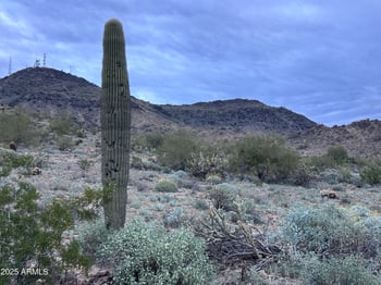 939 Mercer Ln, Phoenix, AZ 85029