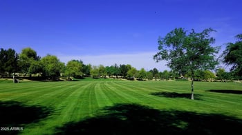 939 Roca St, Gilbert, AZ 85296