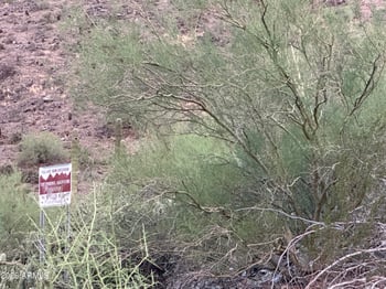 939 W Mercer Ln, Phoenix, AZ 85029