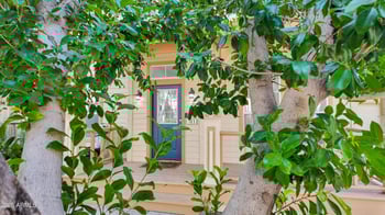 942 Ash Ave #103, Tempe, AZ 85281