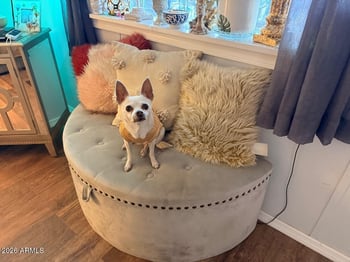 9427 University Dr #49, Mesa, AZ 85207