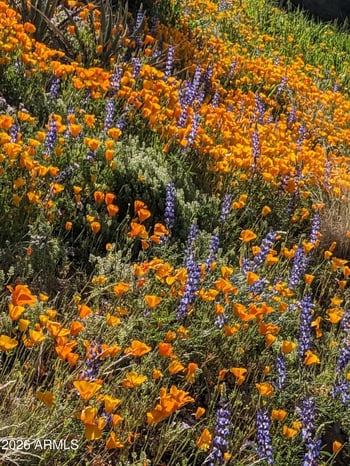 9432 Quail Trl, Carefree, AZ 85377