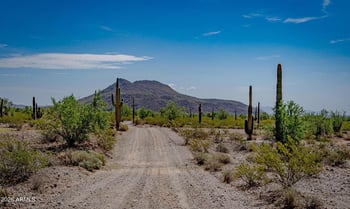 9501 401st Ave #-, Tonopah, AZ 85354