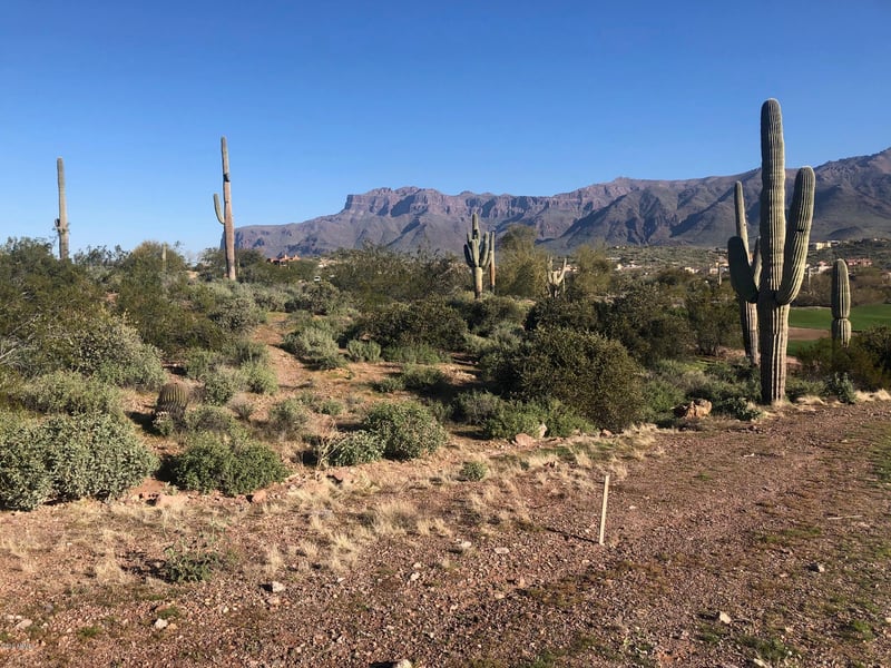 9591 Tee Box Ct #14, Gold Canyon, AZ 85118