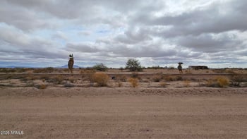 96 541st Ave #141, Tonopah, AZ 85354