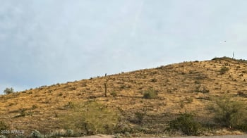 9600 37th Ave #1, Laveen, AZ 85339