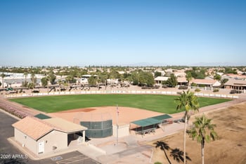 9608 E Sunburst Dr, Sun Lakes, AZ 85248