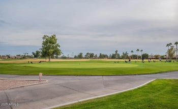 9617 Champagne Dr, Sun Lakes, AZ 85248