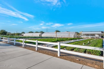 9645 Theia Dr, Mesa, AZ 85212