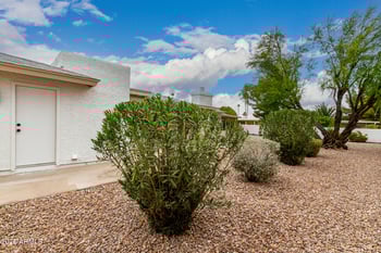 9654 Foster Ave, Sun Lakes, AZ 85248