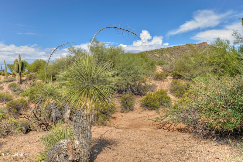 9655 Rising Sun Dr #23, Scottsdale, AZ 85262