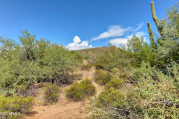 9655 Rising Sun Dr #23, Scottsdale, AZ 85262