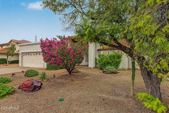 966 N Saint Elena St, Gilbert, AZ 85234