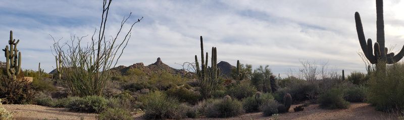 9669 E Mark Ln #3, Scottsdale, AZ 85262