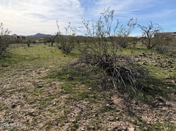 970 Settlers Ln #12, Wickenburg, AZ 85390