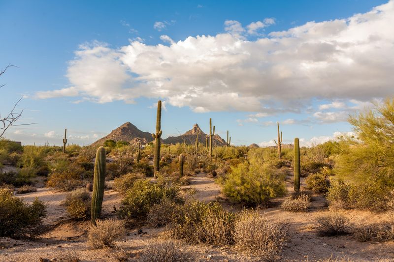 9701 E Happy Valley Rd #20, Scottsdale, AZ 85255