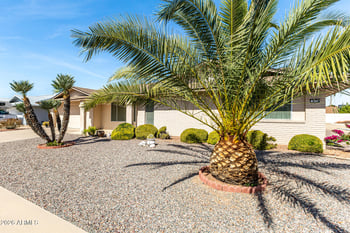 9710 Forrester Dr, Sun City, AZ 85351