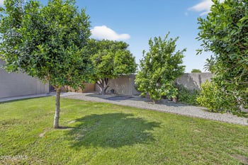 9726 Pineridge Dr, Sun City, AZ 85351