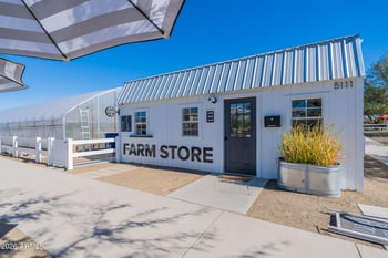 9730 Thatcher Ave, Mesa, AZ 85212