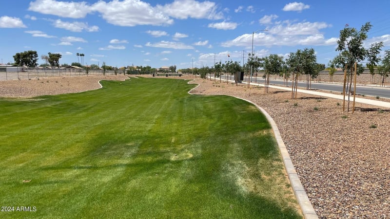 9747 W Odeum Ln, Tolleson, AZ 85353