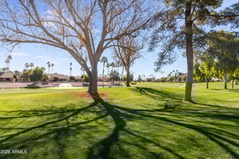 9749 Taro Ln, Peoria, AZ 85382