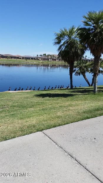 9750 San Marcos Dr #72, Goodyear, AZ 85338