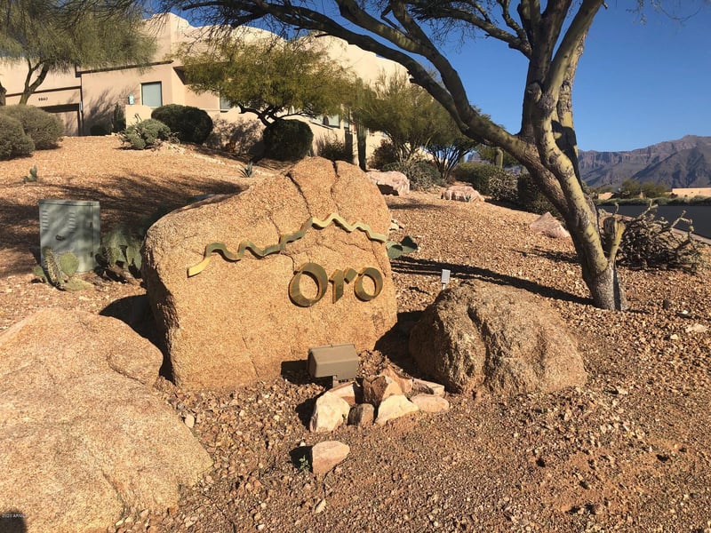 9756 Dead Sure Pl #9, Gold Canyon, AZ 85118