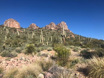 9766 Dead Sure Pl #10, Gold Canyon, AZ 85118