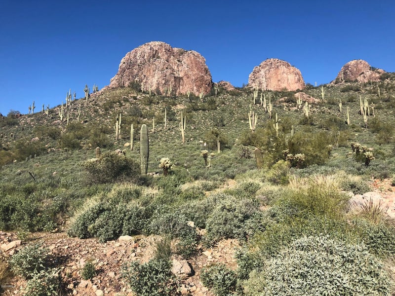 9776 Dead Sure Pl #11, Gold Canyon, AZ 85118