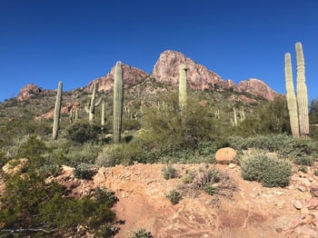 9776 Dead Sure Pl #11, Gold Canyon, AZ 85118