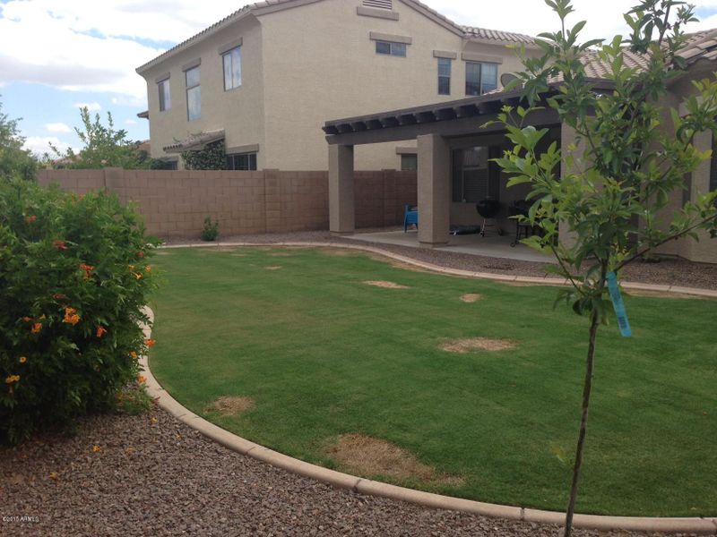 978 E Blue Spruce Ln, Gilbert, AZ 85298
