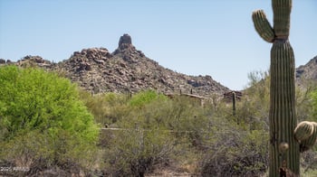 9804 Running Deer Trl #1, Scottsdale, AZ 85262