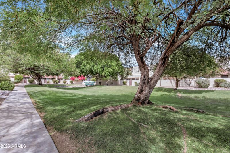 9807 N 5th St, Phoenix, AZ 85020
