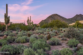 9820 E Thompson Peak Pw #713, Scottsdale, AZ 85255