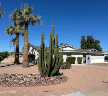 9832 29th St, Phoenix, AZ 85028