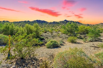 9850 San Marcos Dr #25, Goodyear, AZ 85338