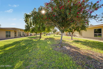 9902 Cedar Dr, Sun City, AZ 85351