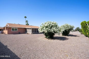 9907 Desert Forest Cir, Sun City, AZ 85351