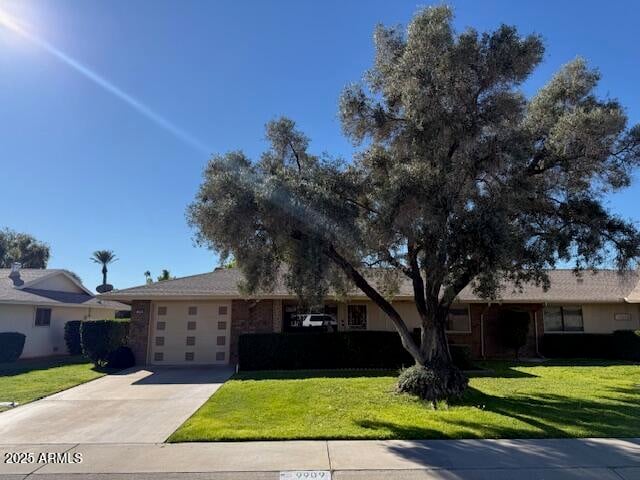 9909 Sandstone Dr, Sun City, AZ 85351