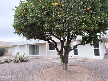 9921 Oak Ridge Dr, Sun City, AZ 85351