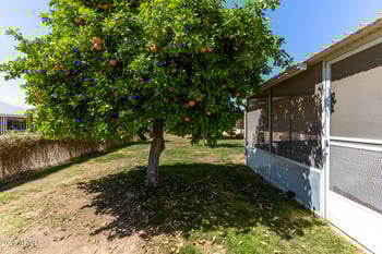 9933 Mountain View Rd, Sun City, AZ 85351