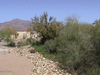 9945 La Palma Ave #311, Gold Canyon, AZ 85118