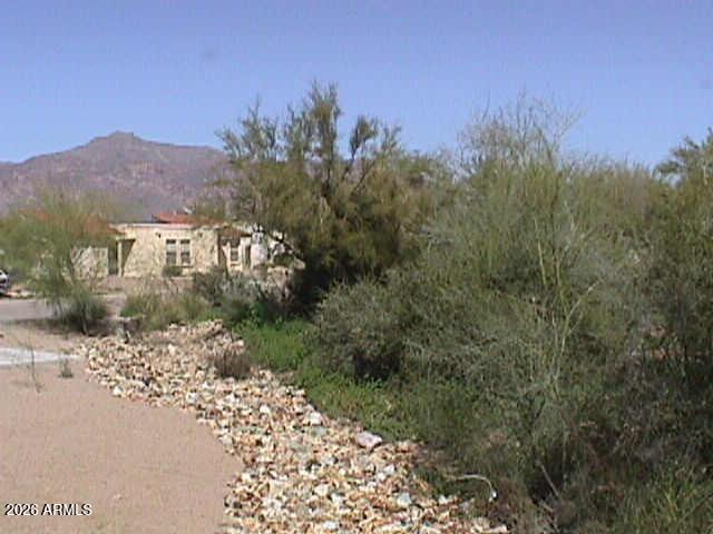 9945 La Palma Ave #311, Gold Canyon, AZ 85118
