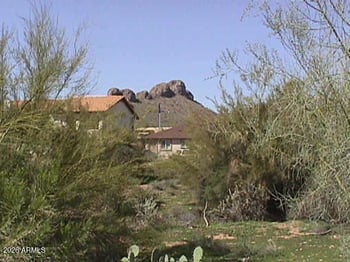 9945 La Palma Ave #311, Gold Canyon, AZ 85118