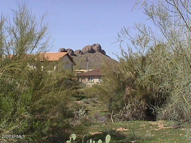 9945 La Palma Ave #311, Gold Canyon, AZ 85118