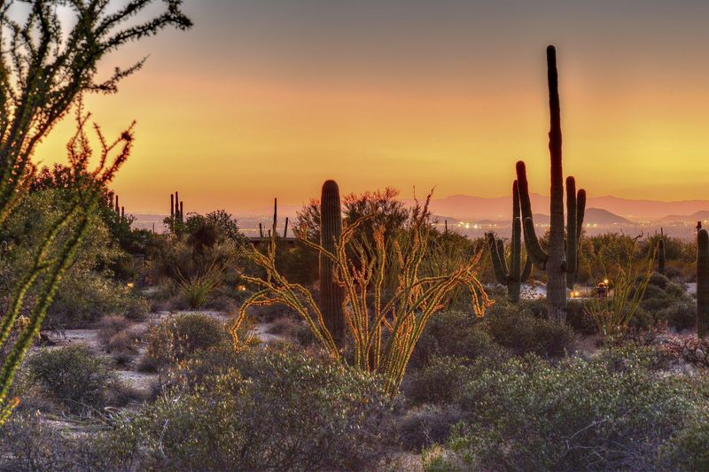 9957 E Happy Valley Rd #-, Scottsdale, AZ 85255