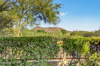 9993 South Bend Dr, Scottsdale, AZ 85255